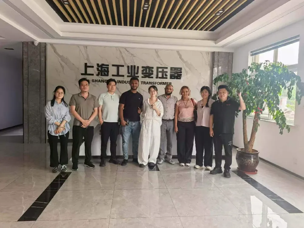 Toplo dobrodošli! Etiopska delegacija obiskala Shanghai Industrial Transformer Co., Ltd. za izmenjavo transformatorjev in opreme za distribucijo električne energije